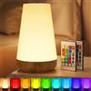 Taipow Touch Lampada da Comodino con Telecomando, LED Lampada da Tavolo Senza Fili con 13 Colori, Luce Notturna Bambini per Camera da Letto, Cameretta dei Bambini Soggiorno