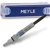 MEYLE Candeletta Diesel Apertura chiave:10 Dimensioni filettatura:M10x1 Modello candeletta:Candeletta ad asta Modello candeletta:Con emissione bagliore residuo Compatibilità con VW POLO 9N, SEAT, AUDI