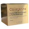 LABO COLLAGENINA CREMA COLLO GRADO 1 50 ML