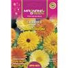 Magnani calendula nana fiesta gitana