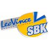 Artist Unknown Adesivo emblema LeoVince SBK compatibile con Piaggio Typhoon | 93 mm x 64 mm, alluminio, resistente al calore, adesivo 3M, OEM 412132R per scarichi LeoVince SBK