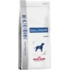 Royal canin anallergenic cane 3 kg