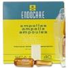 DIFA COOPER SpA ENDOCARE B 7 FIALE 1 ML