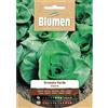 Blumen cicoria grumolo verde