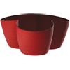 Erba Coprivaso Asso coprivaso 3 posti cm 10 rosso