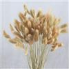 HUAESIN 100PCS Erba della Pmapas Fiori Secchi Decorativi Bouquet Fiori Essiccati Naturali Decorativi Pampas Secca per Interno Pampas Grass Fiori Secchi per Decorazioni Casa Soggiorno Matrimonio Tavolo