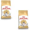Royal Canin Norwegian Forest Cat Adult | Confezione Doppia | 2 x 400 g | Alimento completo per gatti norvegesi delle foreste adulti | A partire da 12 mesi | Pelle sana e pelo bello