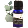 SVATV - Olio essenziale per aromaterapia, eucalipto, olio profumato per diffusori di fragranze, yoga, massaggi, fai da te e cura della persona, 10 ml