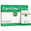 ANVEST HEALTH SPA SOC. BENEFIT Carnitex Forte 14 Bustine