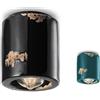 Ferroluce - Lampada da soffitto C986