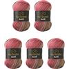 Wollbiene 5 gomitoli di lana Batik da 100 g, 500 g, con gradiente, multicolore (5050, marrone, bacca rosa)