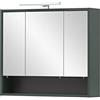 Schildmeyer Kent - Armadietto a specchio, materiale a base di legno, 70 x 16 x 64,2 cm, verde bosco