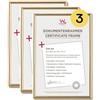 walther design oro 21 x 29,7 cm (DIN A4) confezione da 3, cornice in plastica Galeria KG130H3