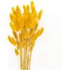JKDHJK 50 Count Erba Della Pampas Fiori Secchi Never Fade Natural Fiori Secchi Decorativi Boho Decor Super Fluffy for Home Decor, Wedding Decor, Birthday Decor (Giallo Senape)