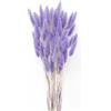 JKDHJK 50 Count Erba Della Pampas Fiori Secchi Never Fade Natural Fiori Secchi Decorativi Boho Decor Super Fluffy for Home Decor, Wedding Decor, Birthday Decor (Viola Chiaro)
