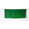 AZ FLAG Bandiera Commissario di pista Verde 90x60 cm Poliestere 100D Asola | Uso interno ed esterno bandiera decorativa del commissario di percorso doppie cuciture e bordi rinforzati con guaina per asta