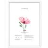 Lupia - Cornice Portafoto da Parete in Legno Optical, Design Moderno e Elegante, Facile da Appendere, Produzione Italiana, per Foto, Stampe Artistiche, Poster, Quadri Moderni 35x50 cm/Bianco