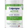 PROTEIN SA Colpropur Active Frutti di Bosco 345gr, Collagene Naturale e Bioattivo al gusto di frutti di bosco