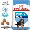 Royal Canin Maxi Puppy kg 4 Cibo Secco Per Cani Cuccioli