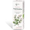 CAIRA LABORATORIO ERB. SA. Caira Nepetasativa Macerato Idroalcolico Gocce 50 Ml