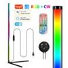 Tuya Lampada da Terra Smart a LED Colori Magici