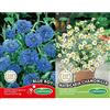 Germisem Blue Boy Semi di Fiordaliso 1.5 g & Matricaria Chamomilla Semi 1 g