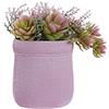 DKD Home Decor Impianto ornamentale, Standard