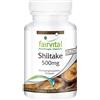 Fairvital | Shiitake 500mg - 1 mese - VEGAN - alto dosaggio - 90 capsule - Lentinula edodes - polvere di funghi