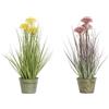 DKD Home Decor Impianto Ornamentale, Standard