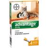 Bayer Div. Animale Advantage 4 Pipette 0,4ml Spot On
