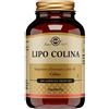 Solgar It. Multinutrient Lipo Colina 100 Capsule Vegetali