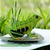CUT POPUP.COM CUTPOPUP Frog Tagliopupp - Biglietto di auguri 3D per compleanno - meraviglioso per bambini, ragazzi, adolescenti, amanti delle rane per compleanno, auguri, Natale IT