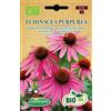 Germisem Biologico Echinacea Purpurea Semi di Echinacea Viola 0.5 g