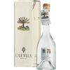 Capovilla Albicocche Del Vesuvio 49° cl 50