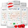 MoriVeda NEPTUNE Capsule di olio di krill, scorta per 135 giorni, con Omega 3 6 9 (EPA/DHA), antiossidanti, vitamina E e colina, certificato MSC e sostenibile, 3 x 90 softgel