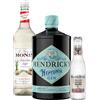 The Cocktail Box Hendrick's Neptunia Gin 43.4° cl 70