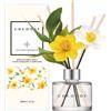 Giocoplast Natale Diffusore a Bastoncini Daffodil 200ml - English Pearfree Cocodor