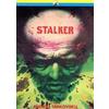General Video Recording Stalker