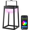 Brendz Yuma lanterne solari da esterno - Lanterna LED RGB con 16 milioni di colori, Alimentata a Energia Solare, Ricaricabile tramite USB-C, Resistente all'Acqua IP44 per la Decorazione del Giardino