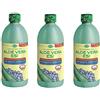 ESI - ALOE VERA CON SUCCO DI MIRTILLO 3 CONFEZIONI DA 1000ML depurativa e con 7000 mg/litro di polisaccaridi