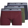 JACK & JONES JACANDREW TRUNKS 3 PACK Boxer Uomo