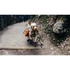 Dog trekking a Loc. Case Sparse - Ponte di Legno (Brescia)