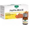 ESI Pappa Reale Integratore Ricostituente 10 flaconcini