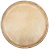 GEWA CLUB SALSA F847253 Pelle Conga 12.5