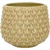 Nordring Vaso Pino - per Fiori da Interno e Piante da Interno, Piante grasse, Cactus, Orchidee M (13,5 cm ø), Avorio-Giallo, Ceramica Gres