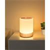 FOMYHEARD Lampada da comodino Touch dimmerabile,256 RGB cambia colore lampada da tavolo a LED calda,2200mAh USB ricaricabile funzione di memoria luce notturna per bambini per camera da letto soggiorno