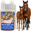 EMMA Multi Vitamina b Complex Cavallo I Vitamine per Cavalli - con vitamina C K B1 B2 B6 B12 Acido folico Zinco Cavallo I B Vitamine complesso Sistema immunitario Vit b Mangime per puledri 1L
