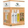 Capello point Rejane Oil, Trattamento Rigenerante con Oli dell'Amazzonia, Azione Idratante e Illuminante per Capelli Secchi, Kit con Shampoo Rigenerante 250ml, Balsamo 250ml, Gocce di Splendore 50ml
