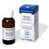 SARANDREA MARCO &C. Srl FRAXINUS EXCELSIOR MG 60ml