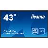 iiyama ProLite LH4370UHB-B1, 107,9cm (42,5''), 4K, 700cd